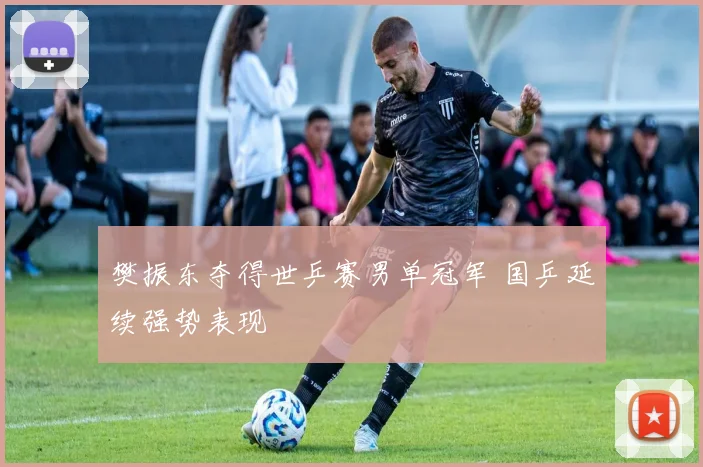 樊振东夺得世乒赛男单冠军 国乒延续强势表现